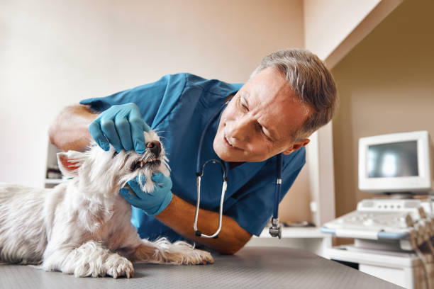 Best Emergency Tooth Extraction in Rosita, TX